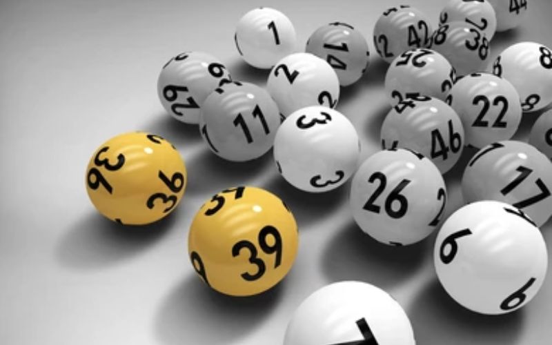 night lottery sambad draws and results